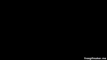 Download ThunderSoft GIF to